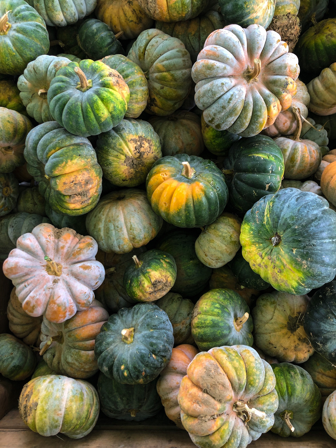 Pumpkins