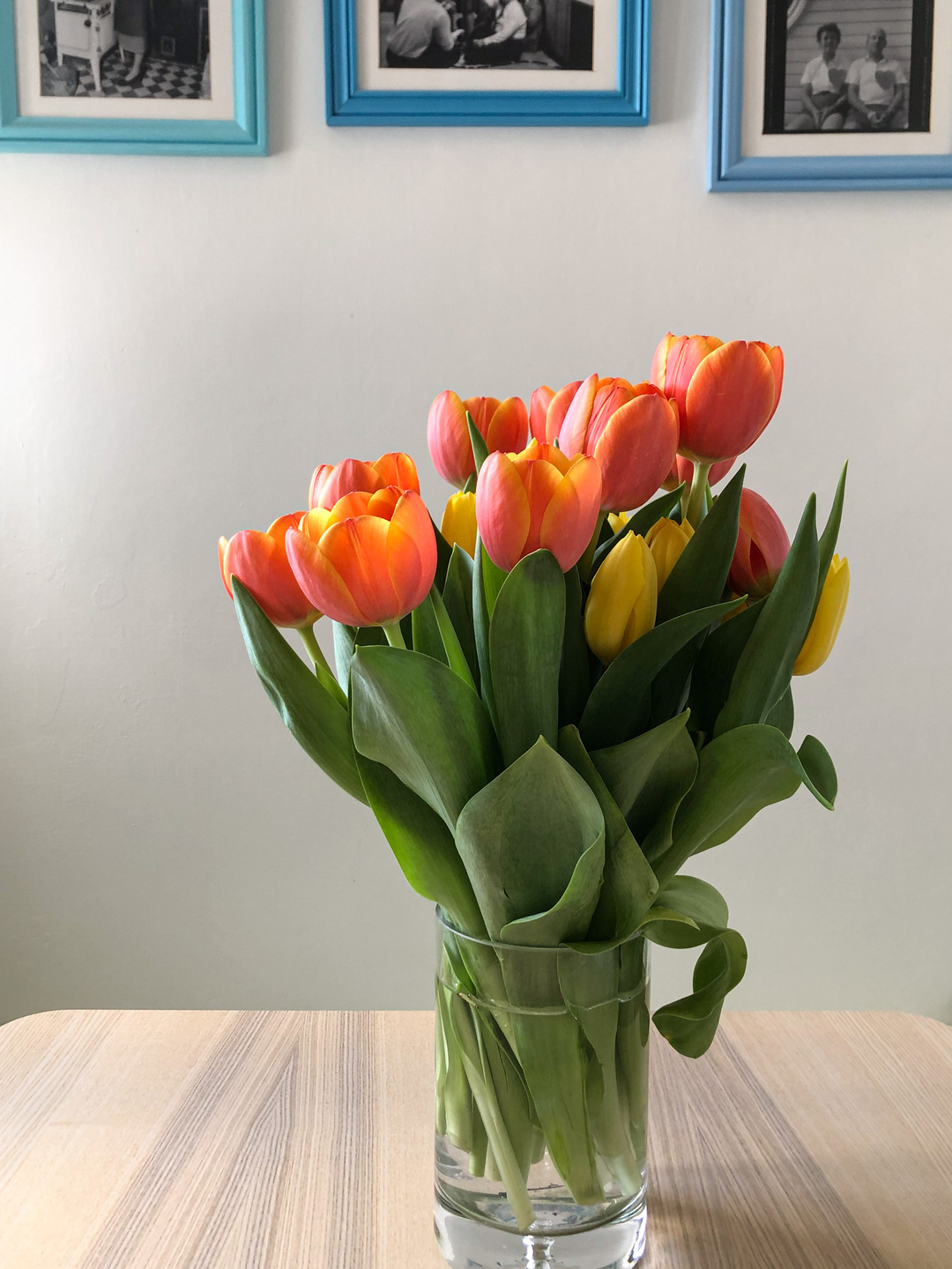 Bouquet of tulips